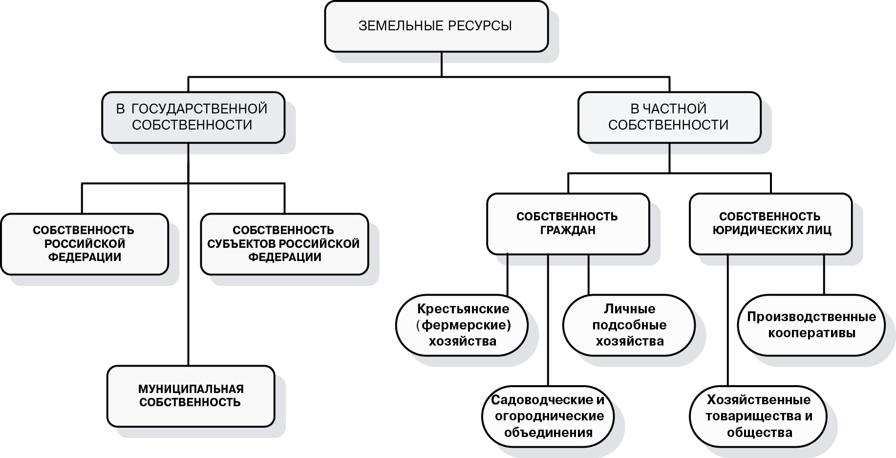 Рис. 12.5. Система землепользования в России в начале XXI в.