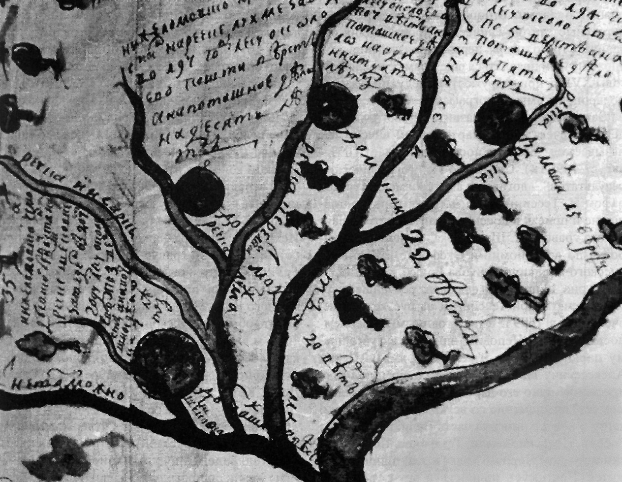Рис. 1.5. Фрагмент «Чертежа досмотра лесов», 1700 г.