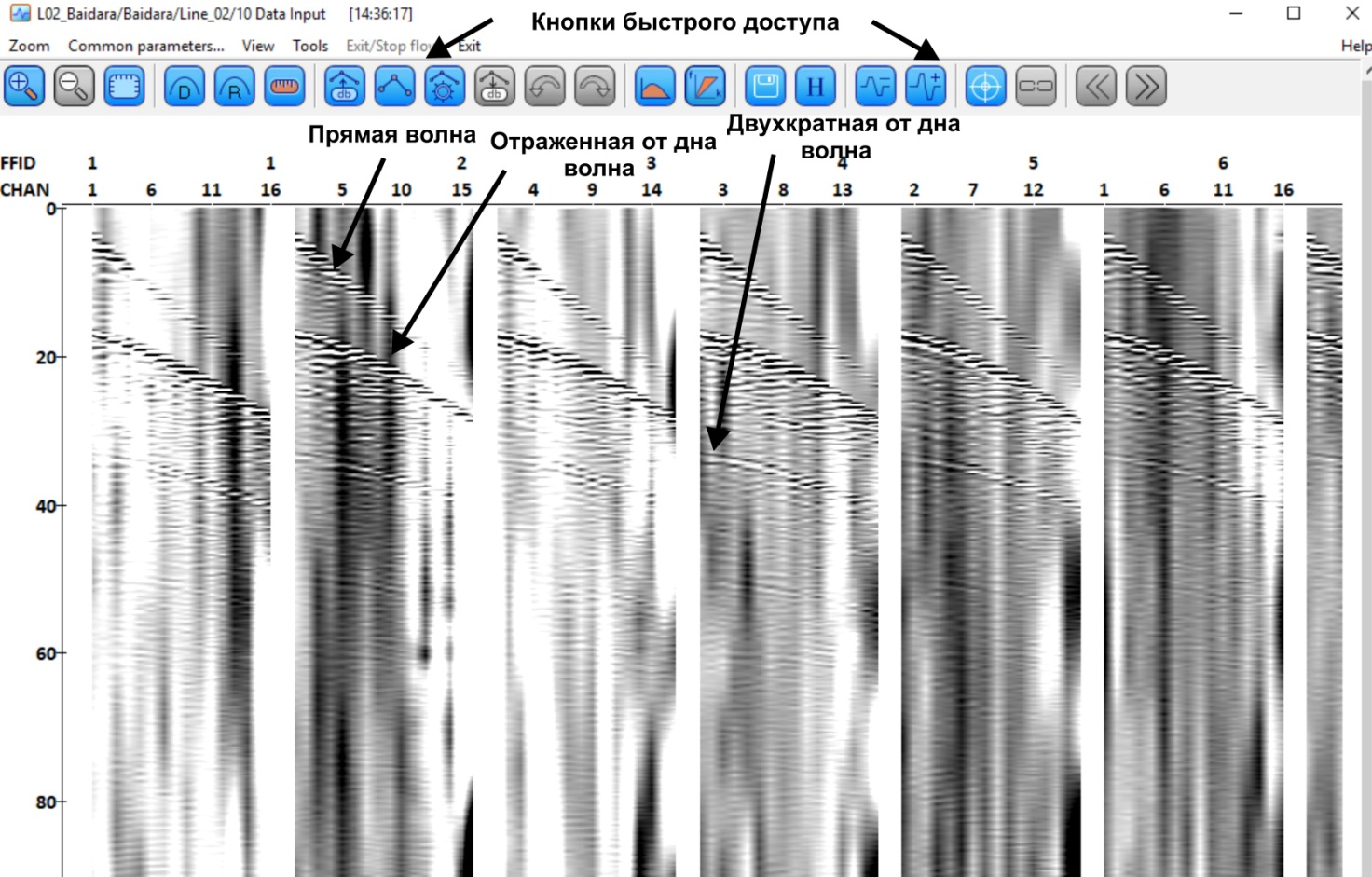RadExSeismograms1.jpg
