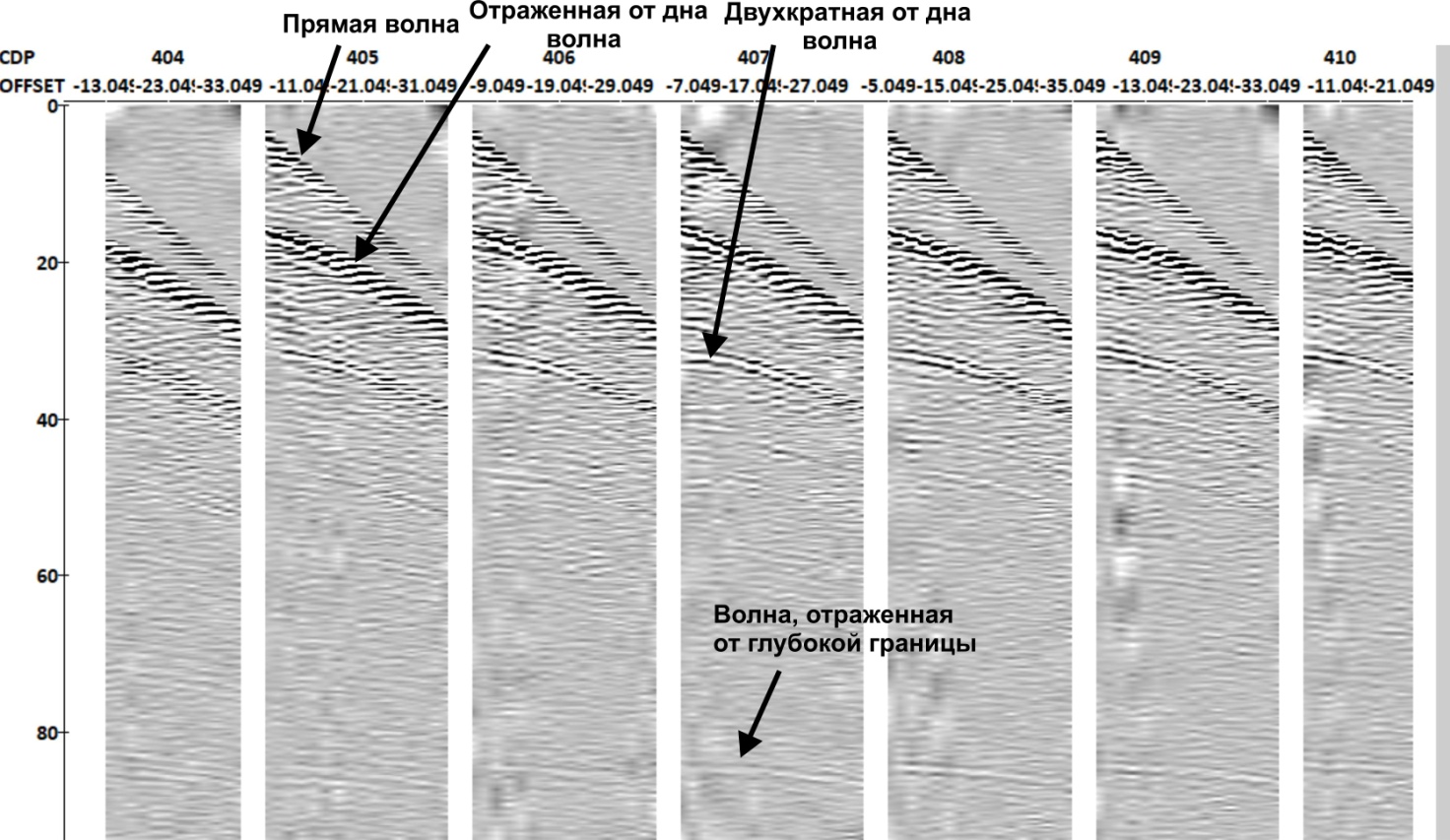 CDPSeismograms1.jpg