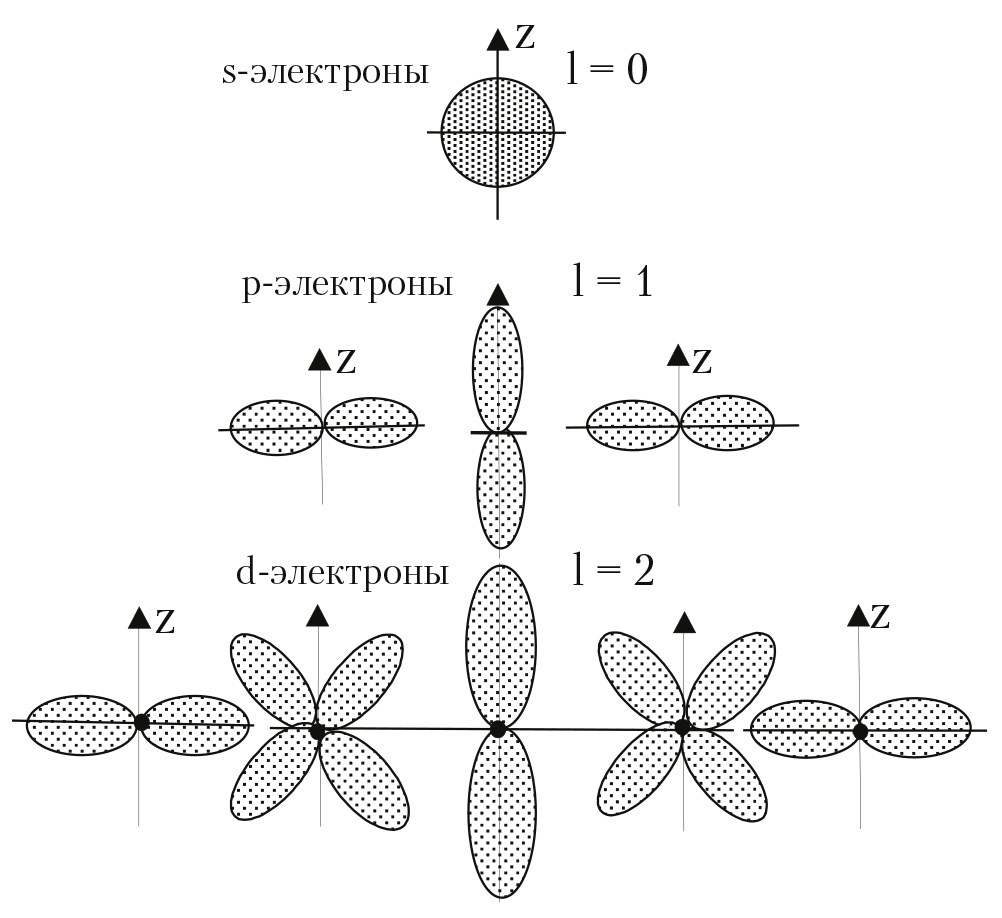 Рис. 1.6. Полярные диаграммы для s-, p-, d-состояний электрона в атоме