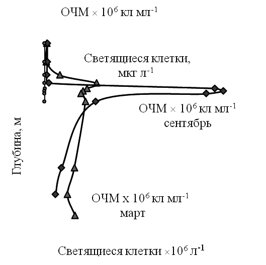 Рис. 1. Общая численность микроорганизмов (ОЧМ) водной толщи оз. Трехцветное