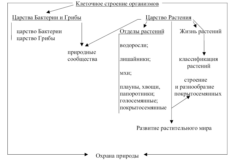 Рис. 1. Структура содержания раздела «Бактерии. Грибы. Растения» школьного курса биологии