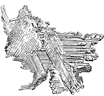 Рис. 66. Перистые дендриты серебра