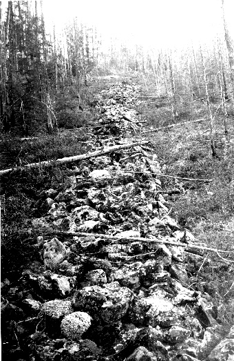 Рис. 13.18. Курум. Плато Удокан, Восточная Сибирь