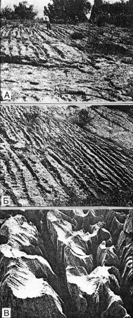 Рис. 8.2. А — карры в ущелье Кульсу (по Н. А. Гвоздецкому); Б — развитие карров и каррового ландшафта (по Бондарчуку); В — деталь каррового поля