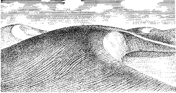 Рис. 11.3. Барханы