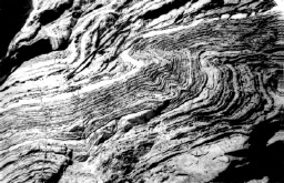 Рис. 17.18. Складки в тонкослоистой карбонатно-глинистой толще в Таласском хребте, Средняя Азия, Тянь-Шань (фото Н. С. Фроловой)