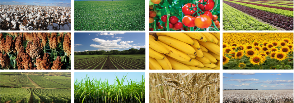 multi-image-low-res-860391_945x332.png