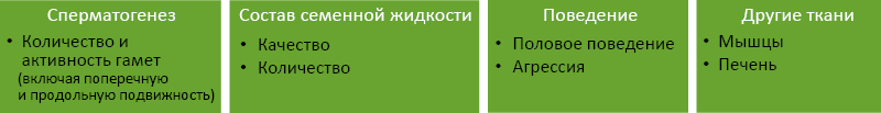 Рис. 48. Объекты гормональной регуляции репродуктивной функции у мужчин