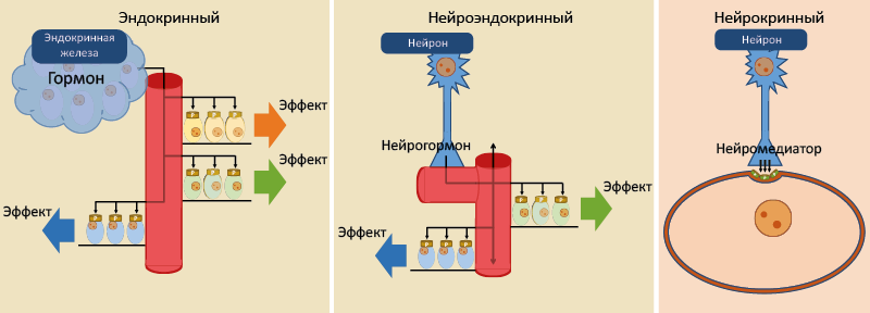 Рис. 2. Типы системного контроля