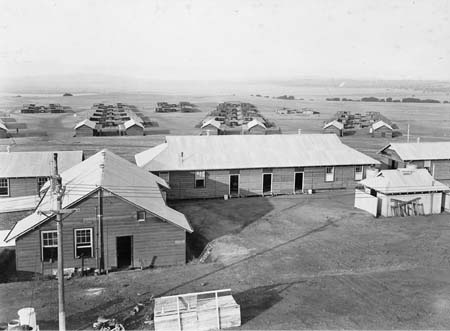 Blocks of barracks radiated from a central service area at the Molonglo camp