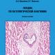 Лекции по патологической анатомии